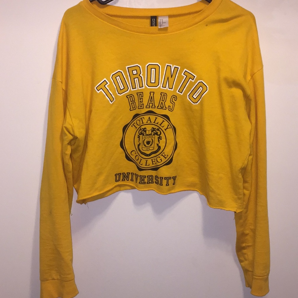 Long Sleeved Crop top